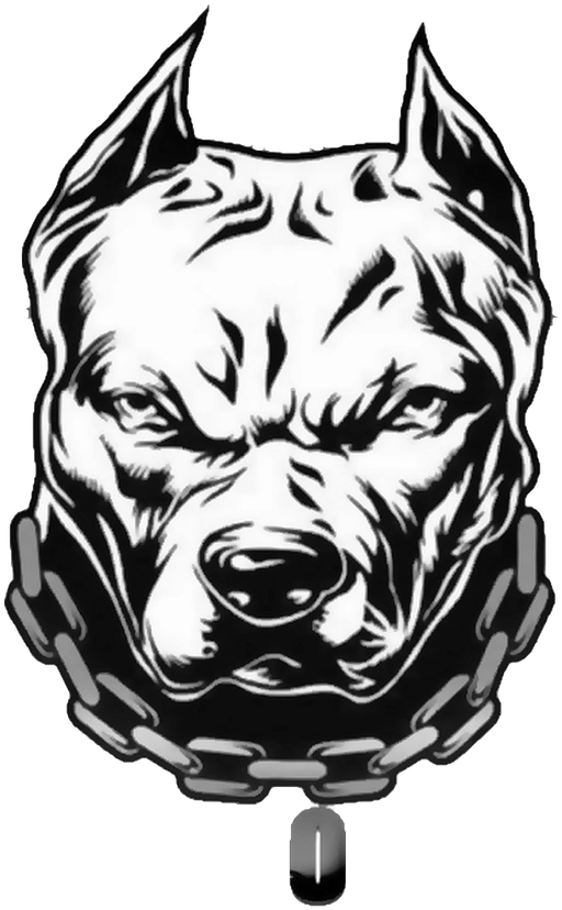 Nsika Protection Services crest